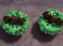 Cupcake Ants